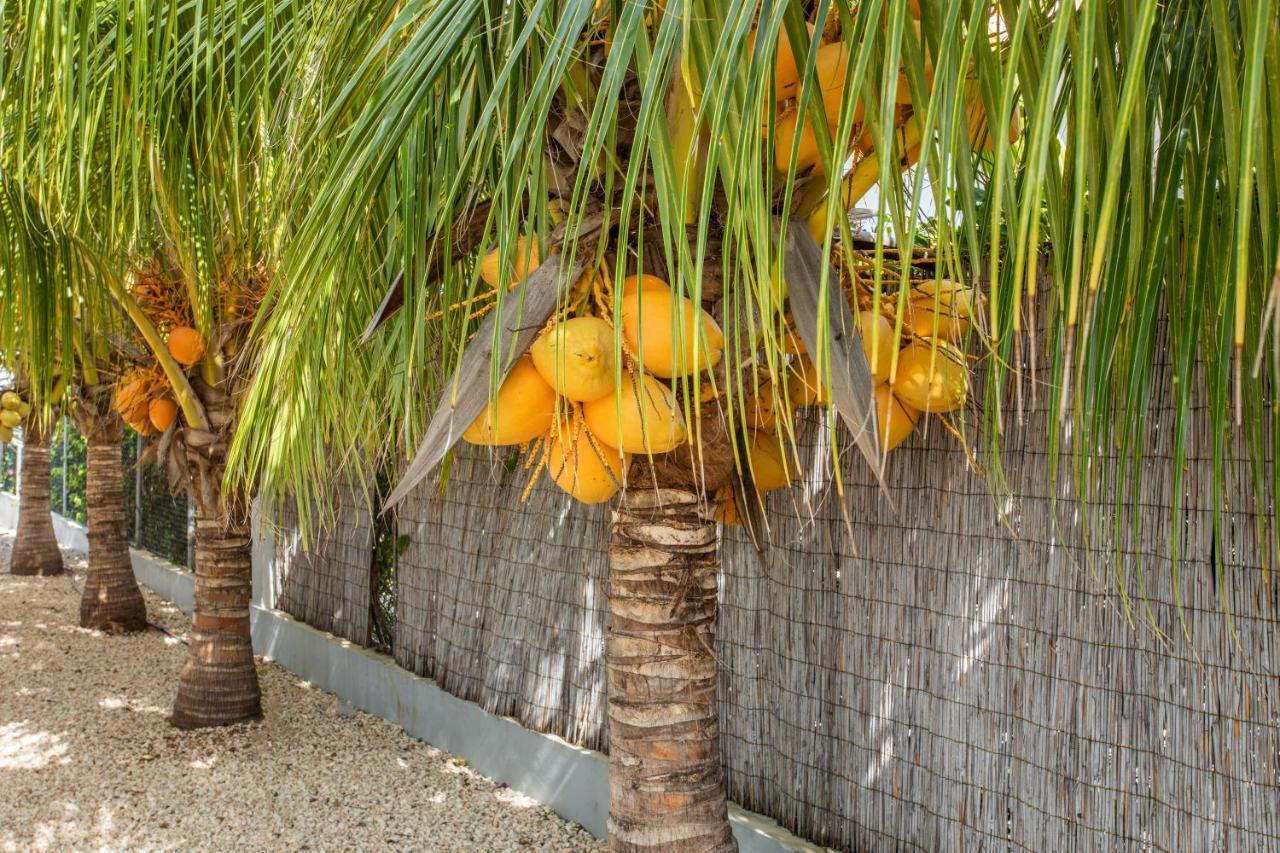 Paradise Apartments - Curacao Fontein Exterior photo